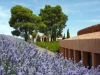 Exterior hotel